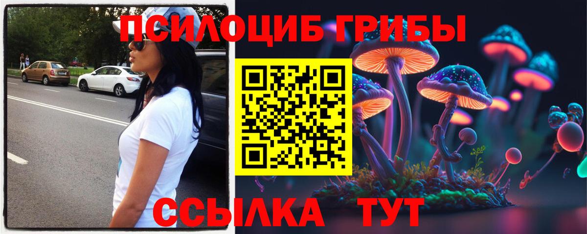 Псилоцибиновые грибы MAGIC MUSHROOMS Мытищи
