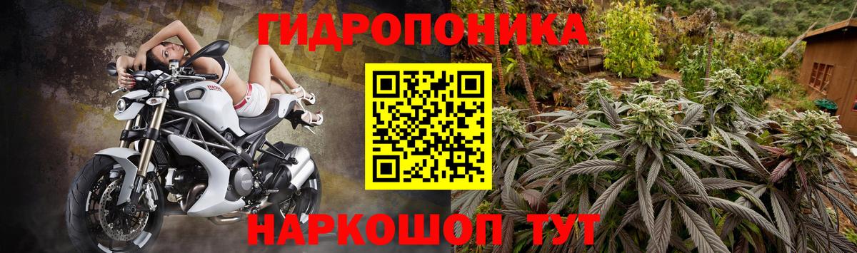 Канабис марихуана  МАРИХУАНА марихуана  Вход с VPN  Мытищи  Каннабис VHQ 